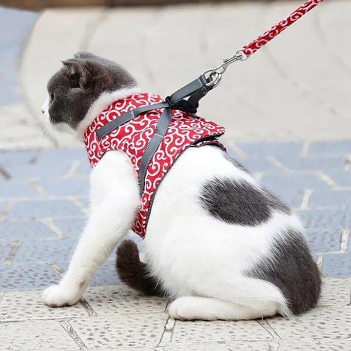Escape-Proof Cat Harness and Leash Set