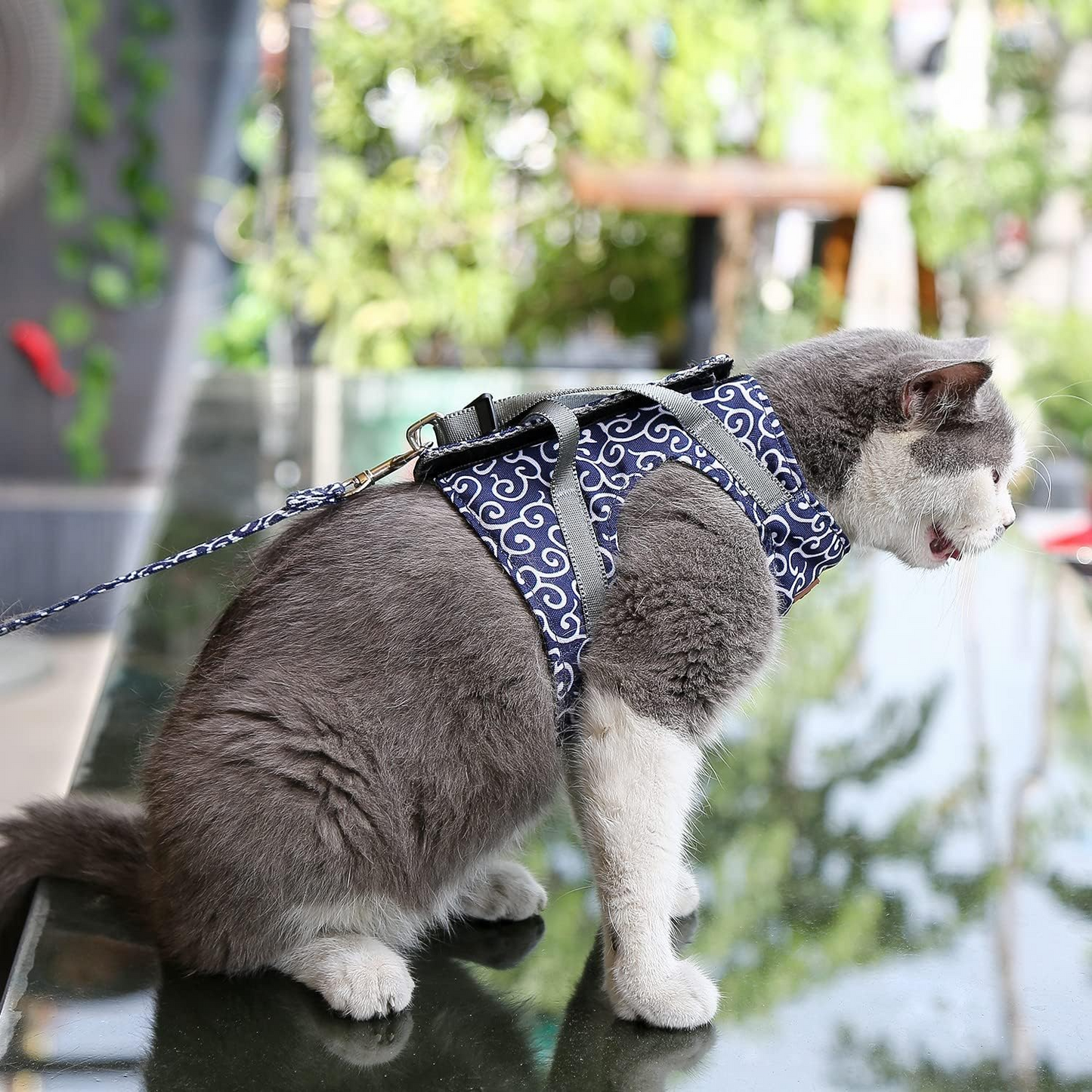 Escape-Proof Cat Harness and Leash Set