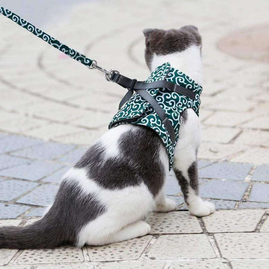 Escape-Proof Cat Harness and Leash Set
