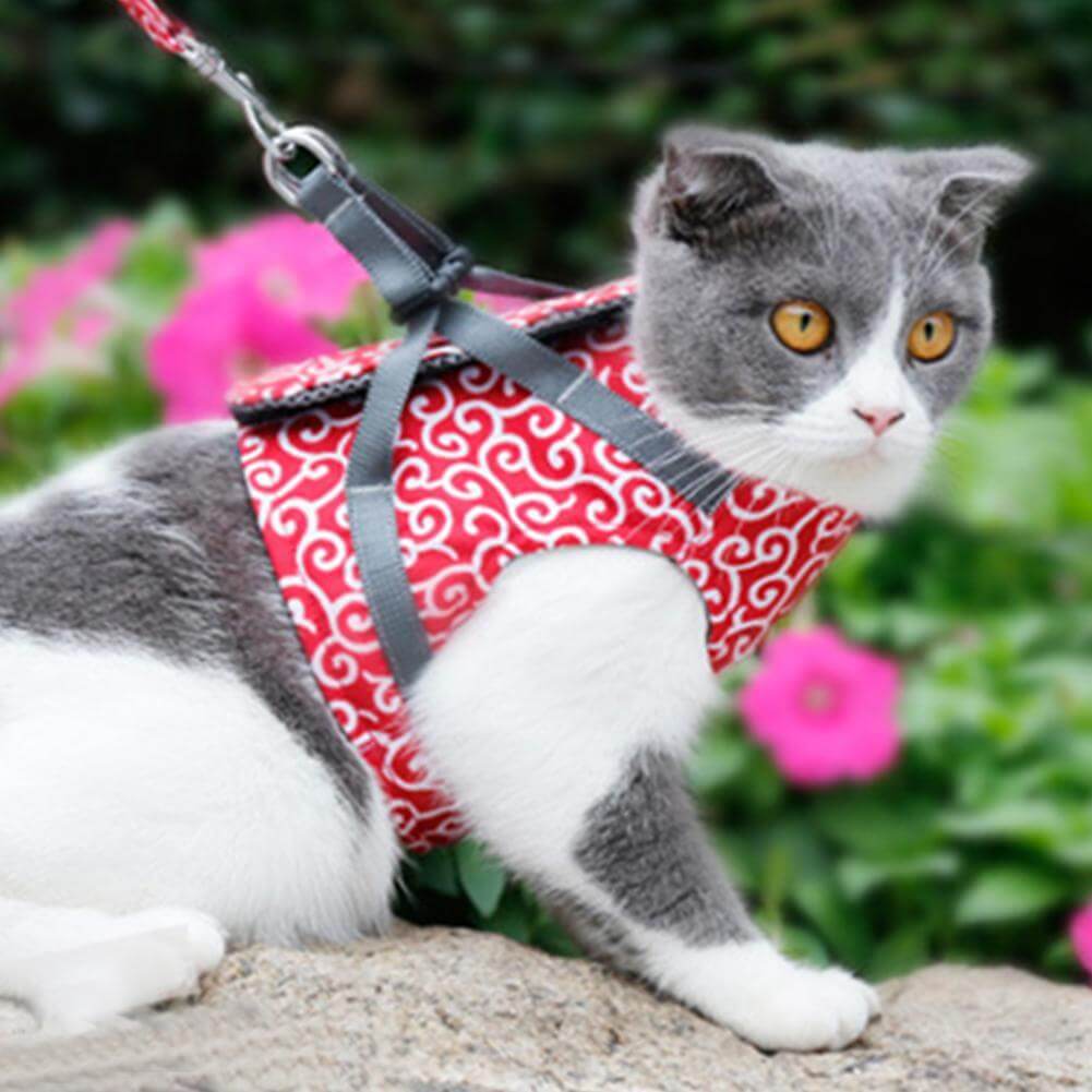 Escape-Proof Cat Harness and Leash Set