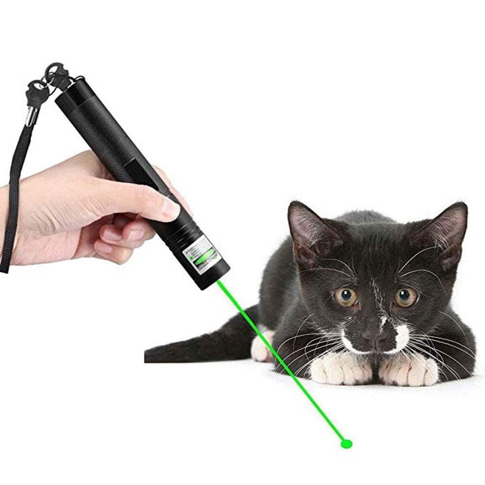 High-Power Laser Pointer 303 for Presentations and Outdoor Use