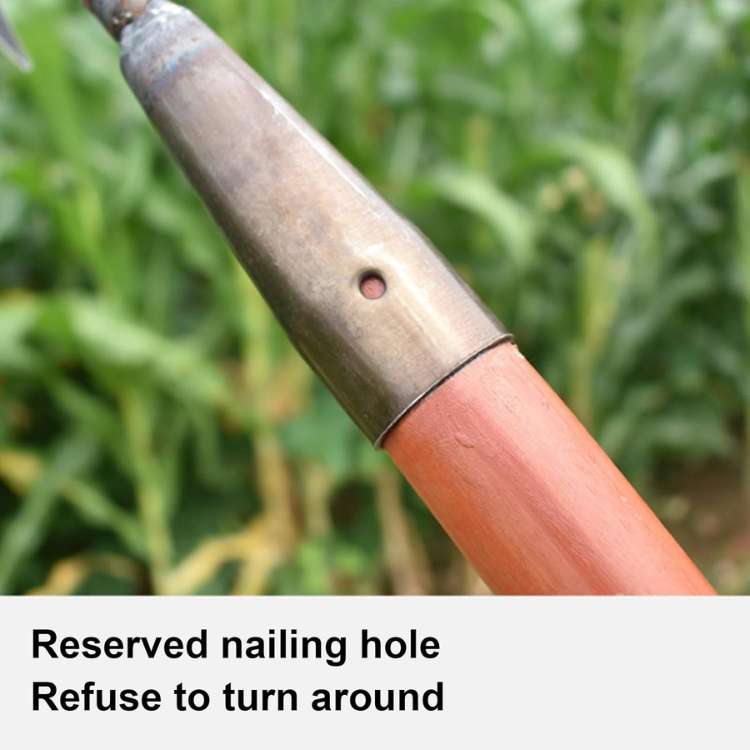 Stainless Steel Weeding Rake with Deep-Penetrating Tines