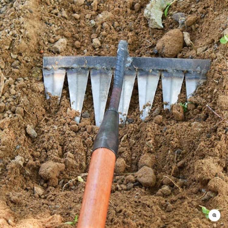 Stainless Steel Weeding Rake with Deep-Penetrating Tines