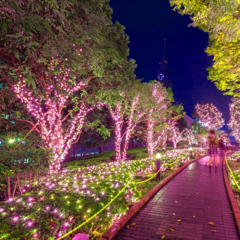 100 LED Waterproof Solar String Lights with 8 Lighting Modes