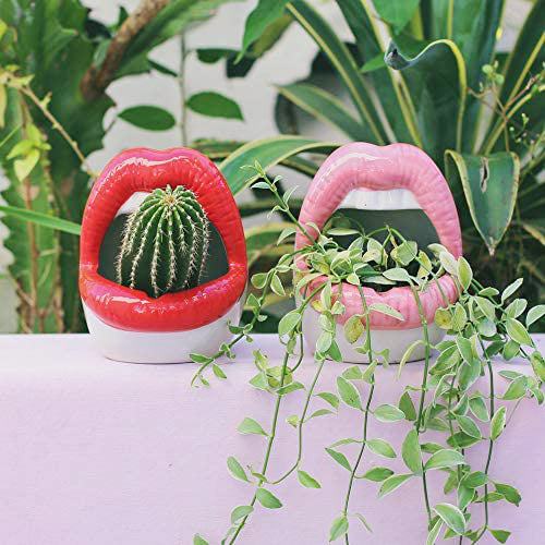 Ceramic Lip-Shaped Planter for Succulents and Decor