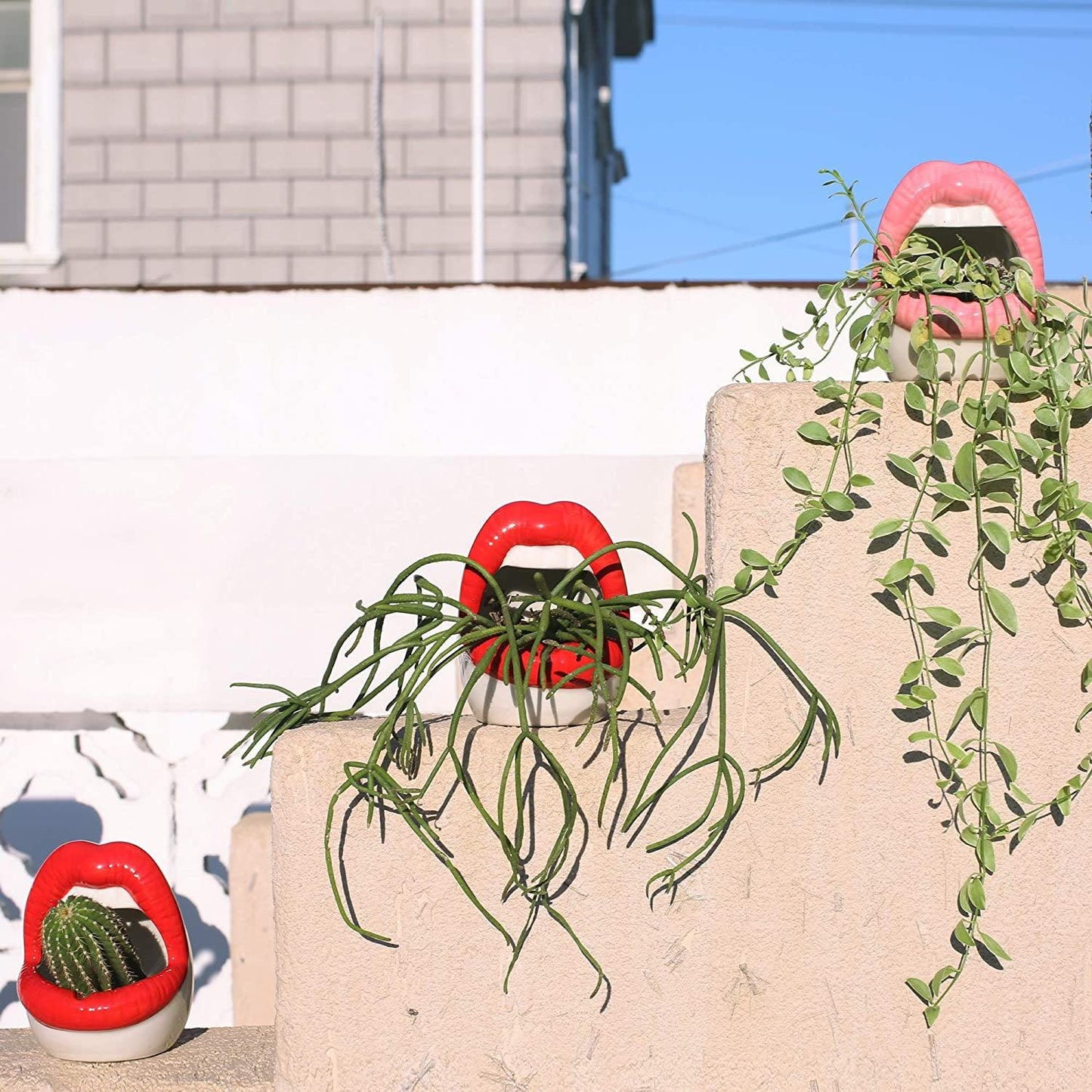 Ceramic Lip-Shaped Planter for Succulents and Decor