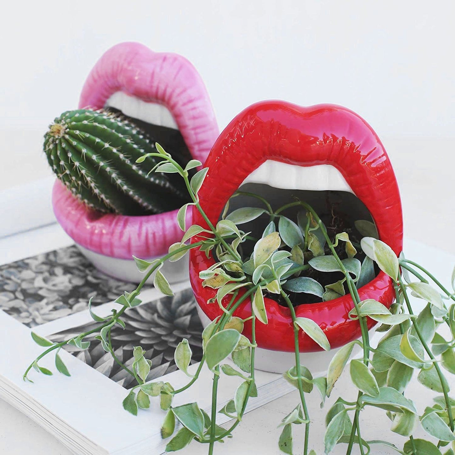 Ceramic Lip-Shaped Planter for Succulents and Decor