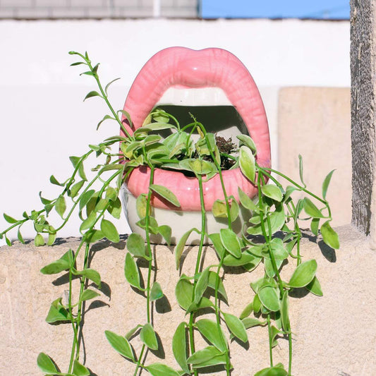 Ceramic Lip-Shaped Planter for Succulents and Decor