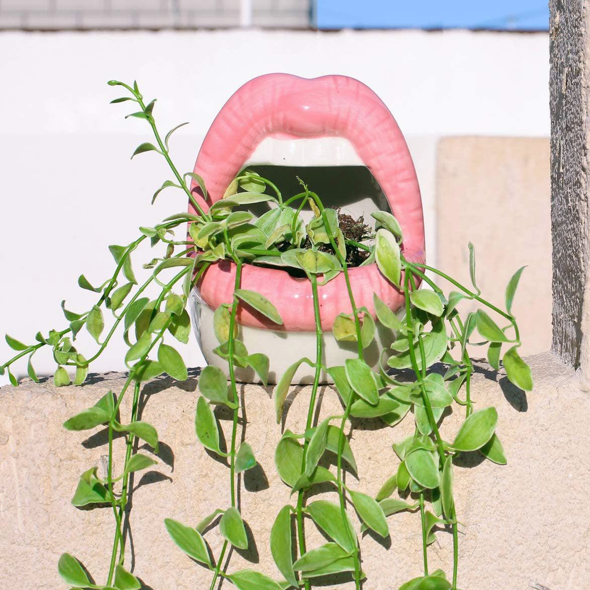 Ceramic Lip-Shaped Planter for Succulents and Decor