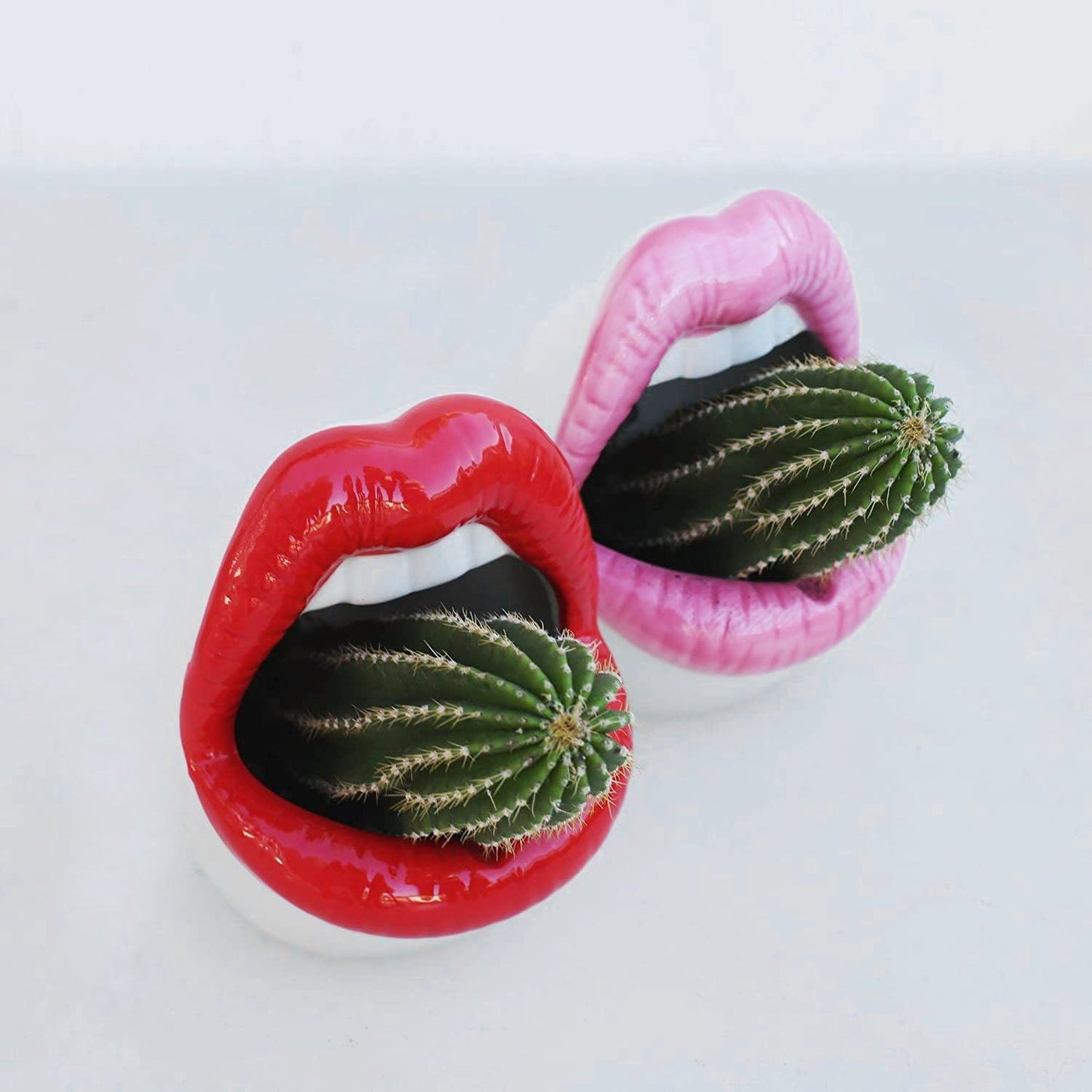 Ceramic Lip-Shaped Planter for Succulents and Decor