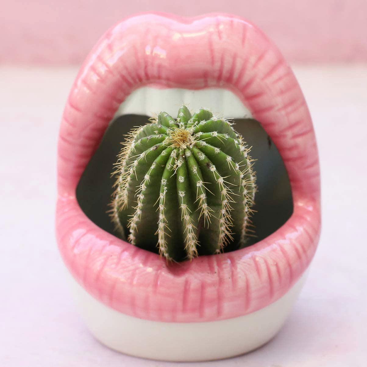 Ceramic Lip-Shaped Planter for Succulents and Decor