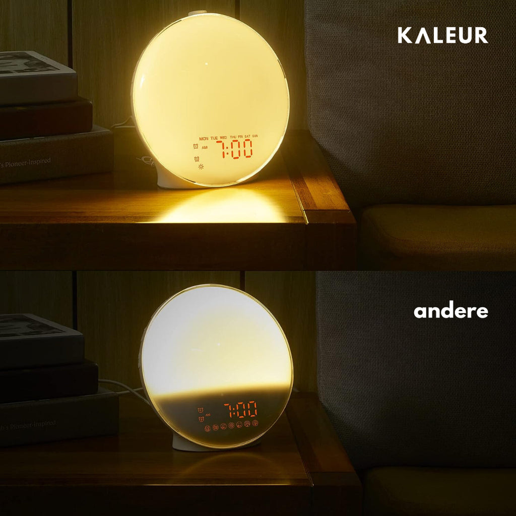 Sunrise Simulation Alarm Clock with LED Light