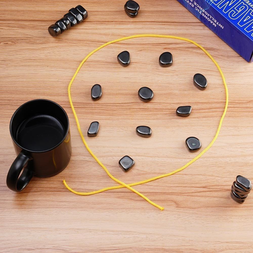 Magnetic Strategy Game for All Ages