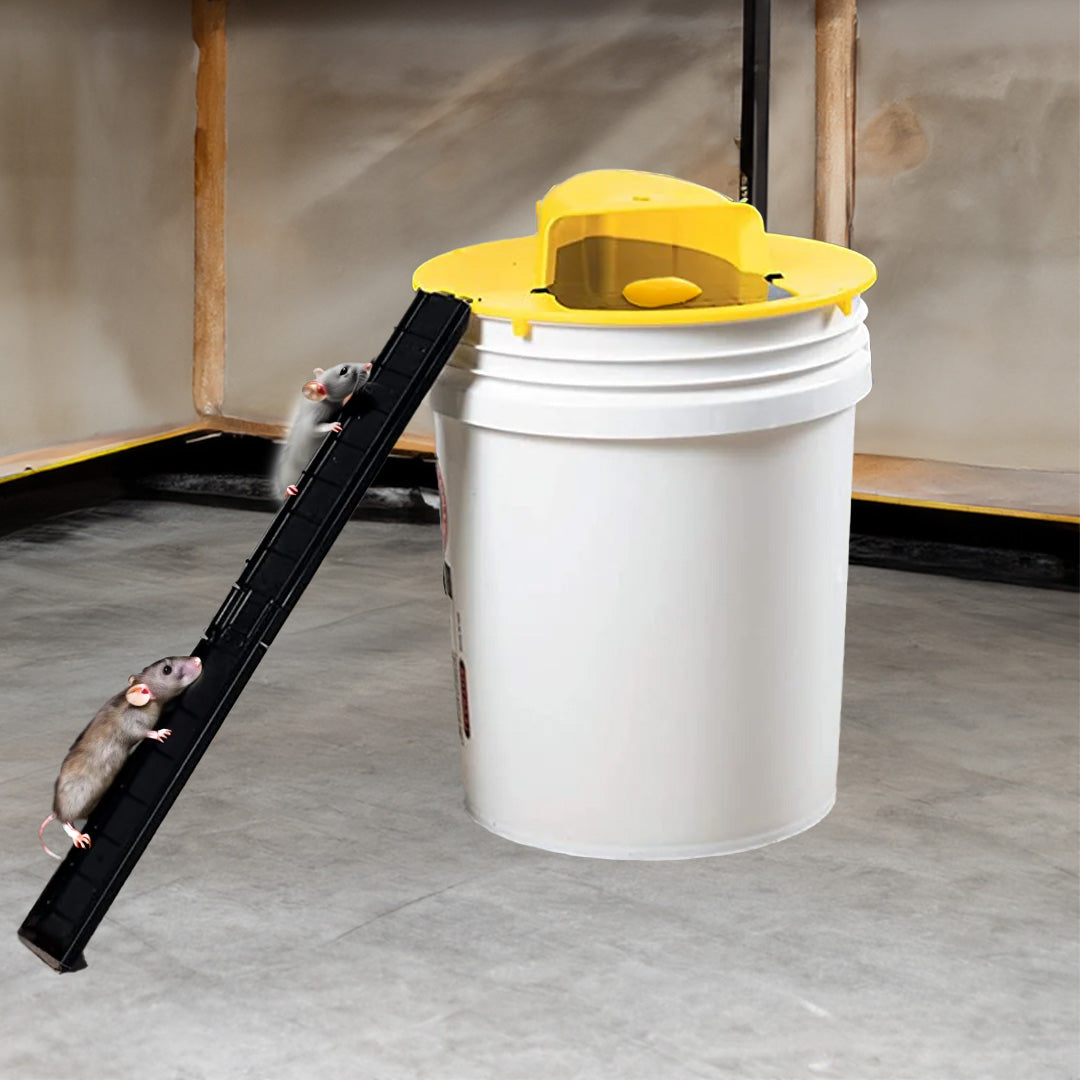 Humane Reusable Mouse and Rat Bucket Trap
