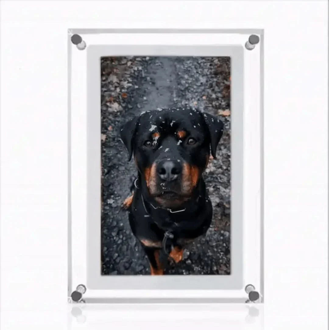 Customizable Digital Picture Frame for Cherished Memories