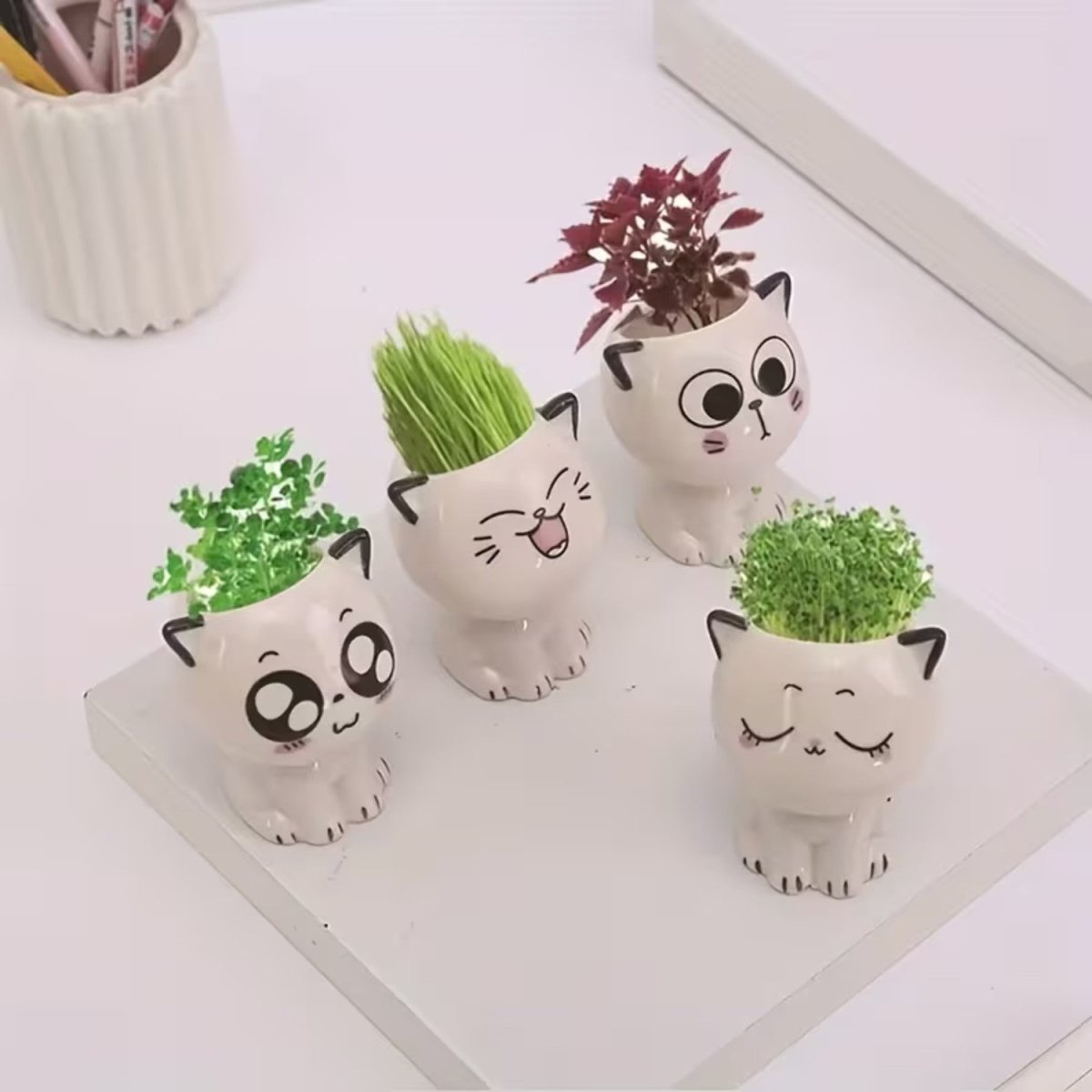 Cat-Shaped Ceramic Flowerpot for Small Plants