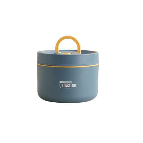 Multi-Layer Insulated Lunch Box with Carry Bag