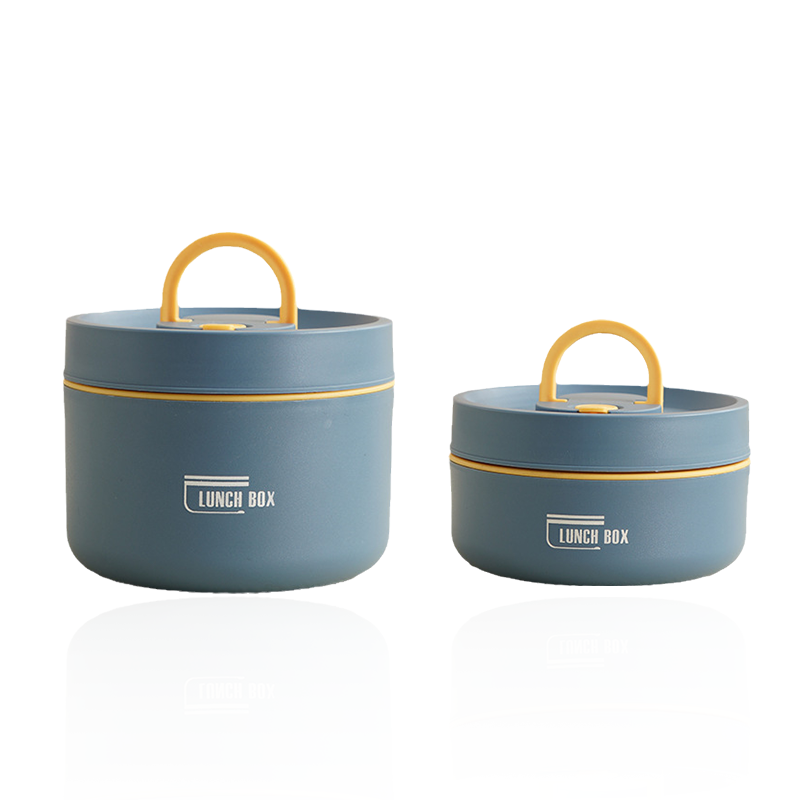 Multi-Layer Insulated Lunch Box with Carry Bag