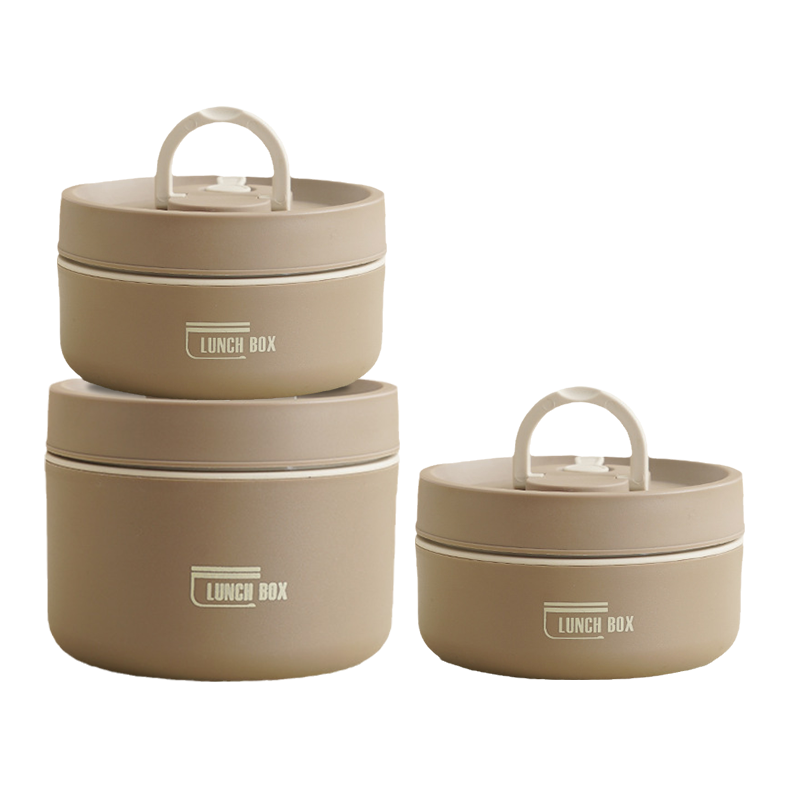 Multi-Layer Insulated Lunch Box with Carry Bag