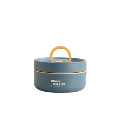 Multi-Layer Insulated Lunch Box with Carry Bag