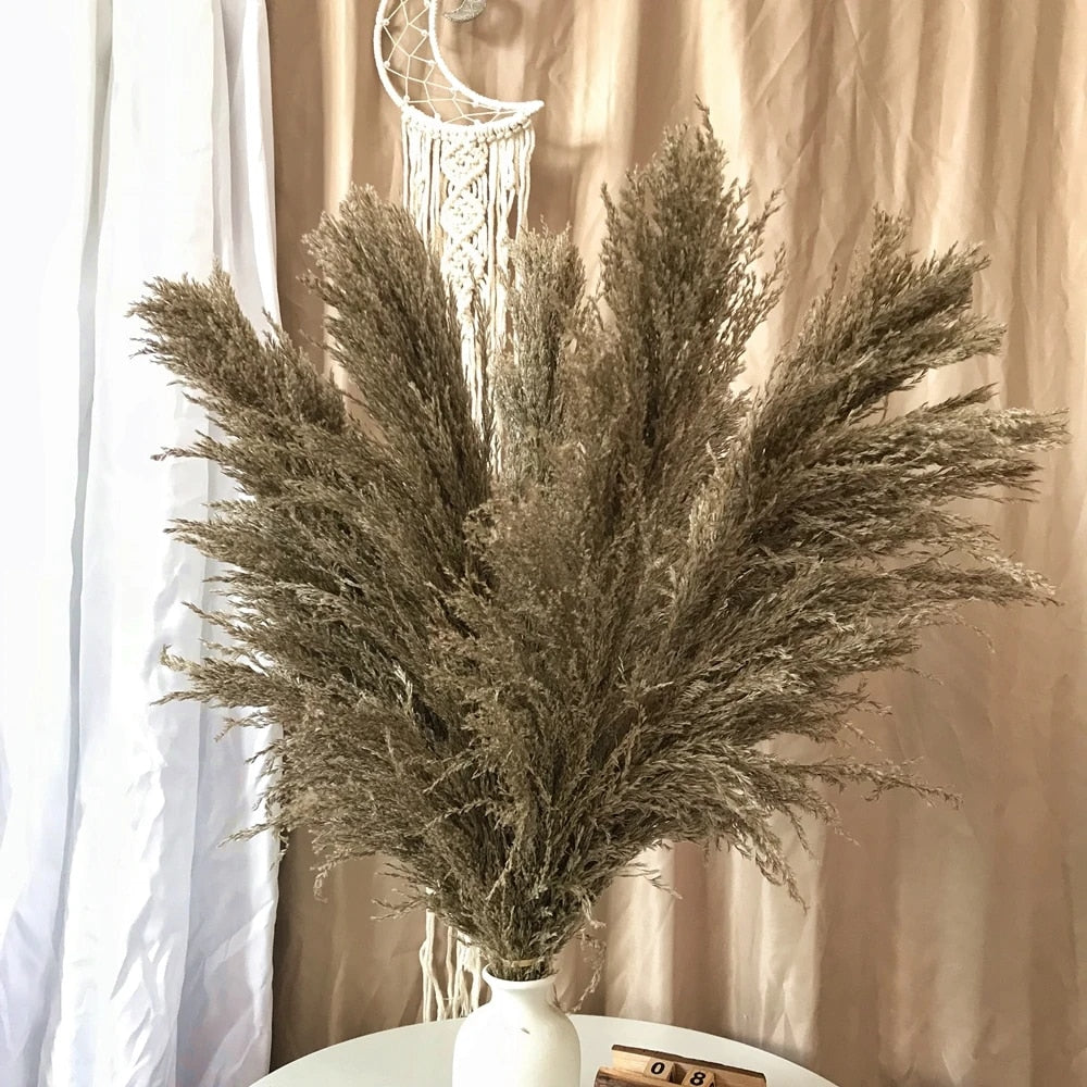 Dried Pampas Grass Flowers - Natural Boho Decor