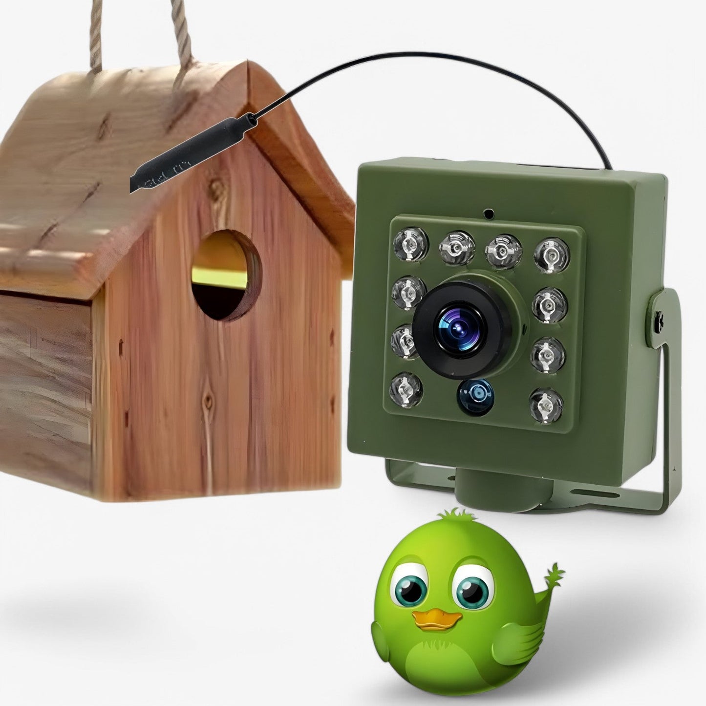 1080p HD Weatherproof WLAN Birdwatching Camera