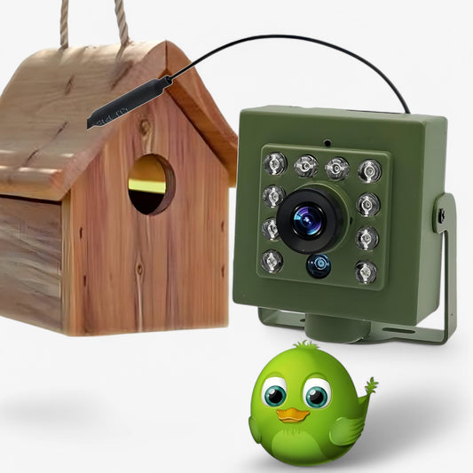 1080p HD Weatherproof WLAN Birdwatching Camera