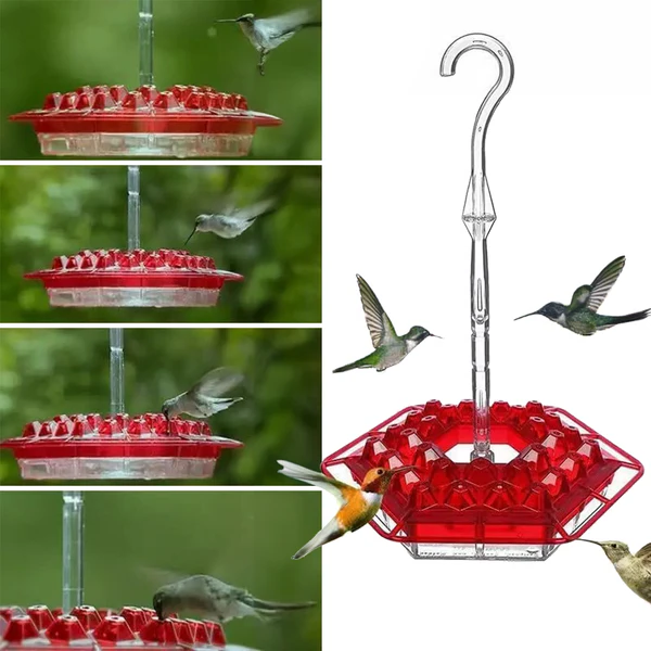 Ant-Proof Hummingbird Feeder with 30 Bee-Resistant Feeding Ports