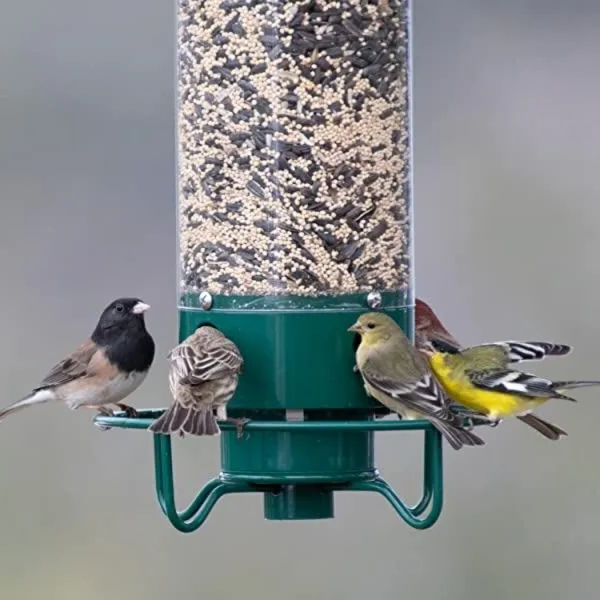 Squirrel-Proof Bird Feeder with Spinning Perch and Four Feeding Ports