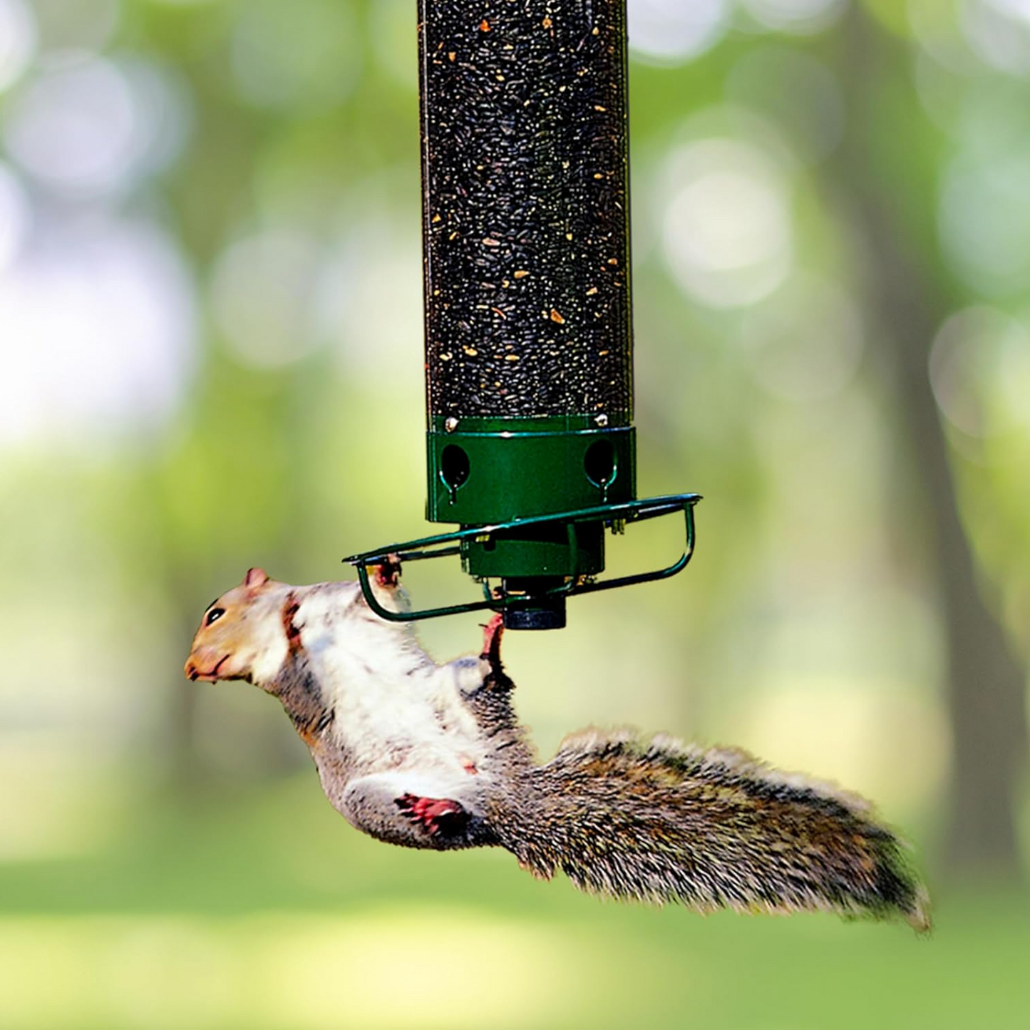 Squirrel Proof Hanging Bird Feeder with Rotating Perch