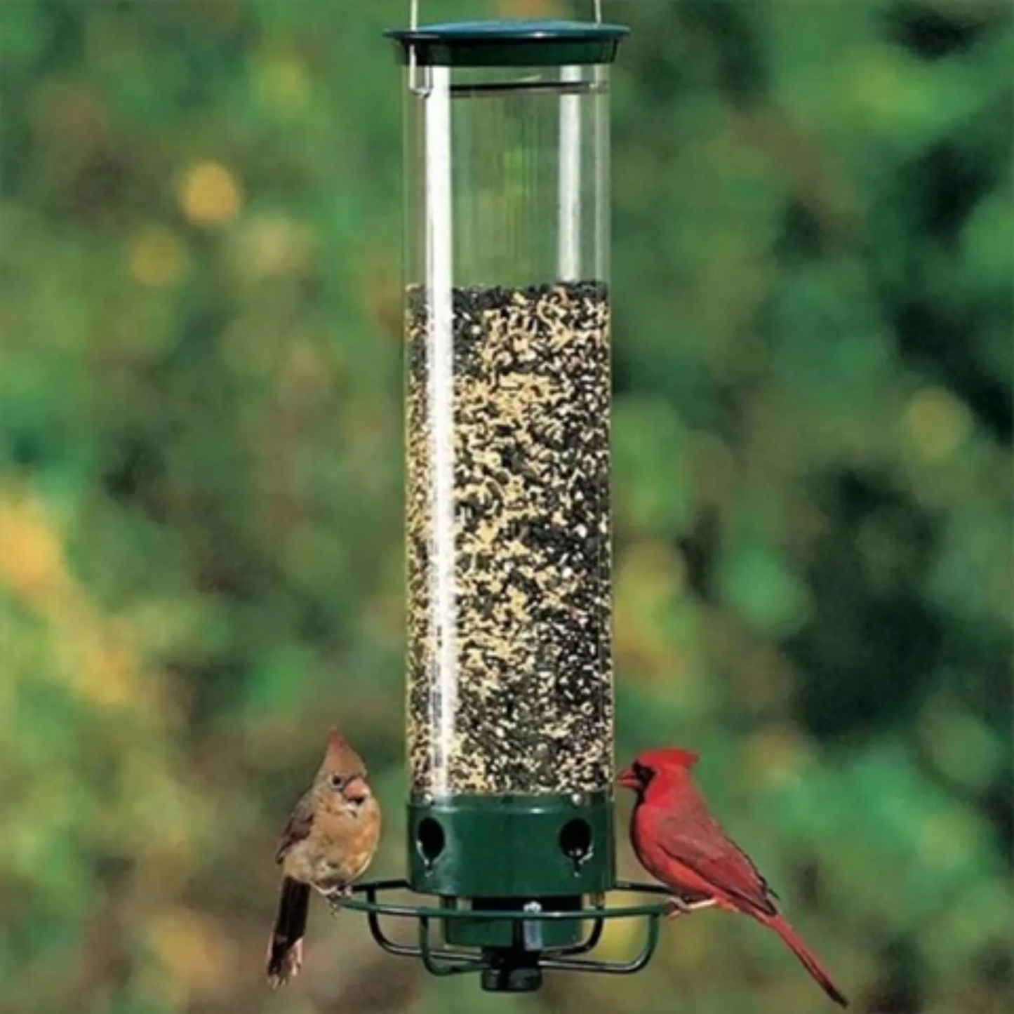Squirrel-Proof Bird Feeder with Spinning Perch and Four Feeding Ports