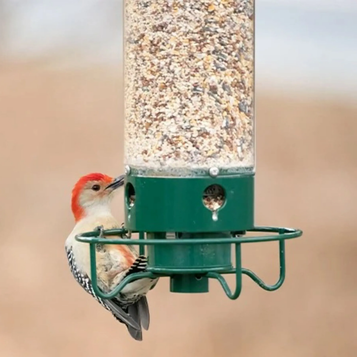Squirrel-Proof Bird Feeder with Spinning Perch and Four Feeding Ports