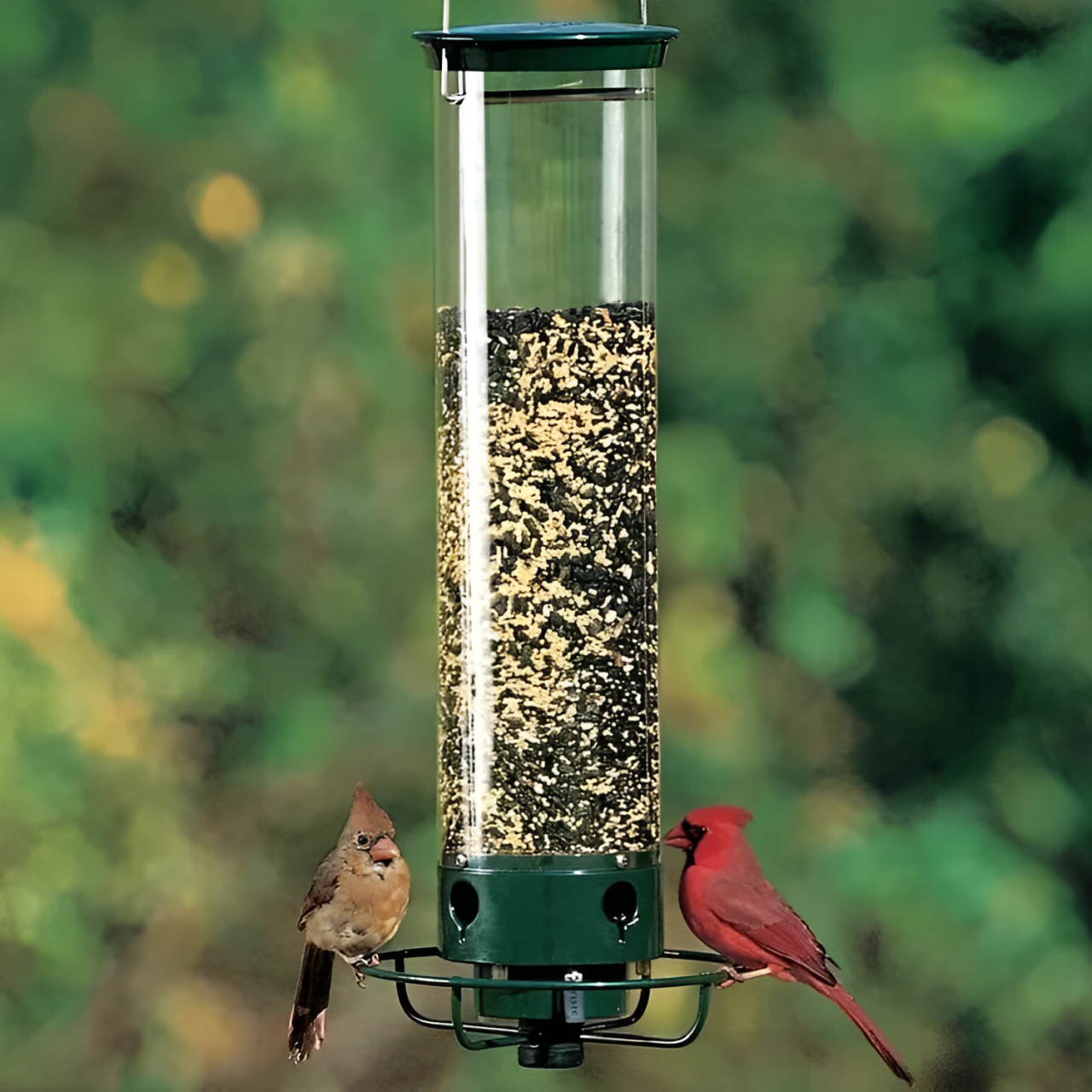 Squirrel-Proof Metal Wild Bird Feeder with Weight-Activated Perch