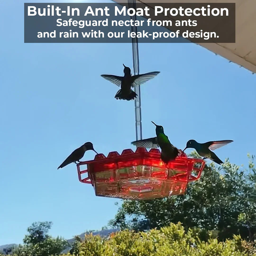 Ant-Proof Hummingbird Feeder with 30 Bee-Resistant Feeding Ports