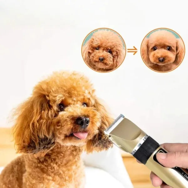 Quiet Dog Clipper Set for Stress-Free Grooming
