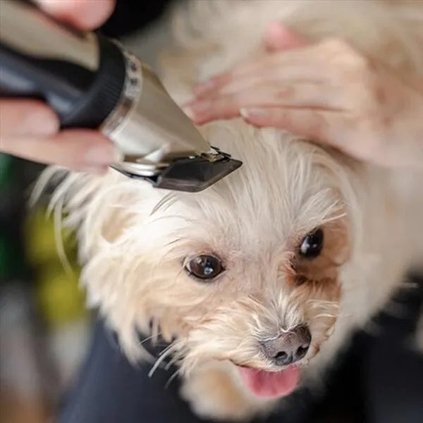 Quiet Dog Clipper Set for Stress-Free Grooming