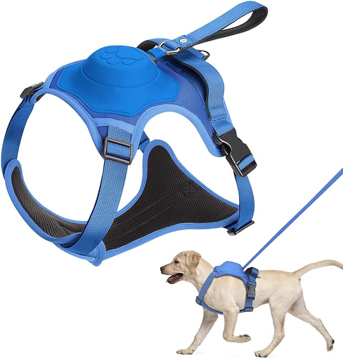 Durable Comfortable Dog Leash with Swivel Lock