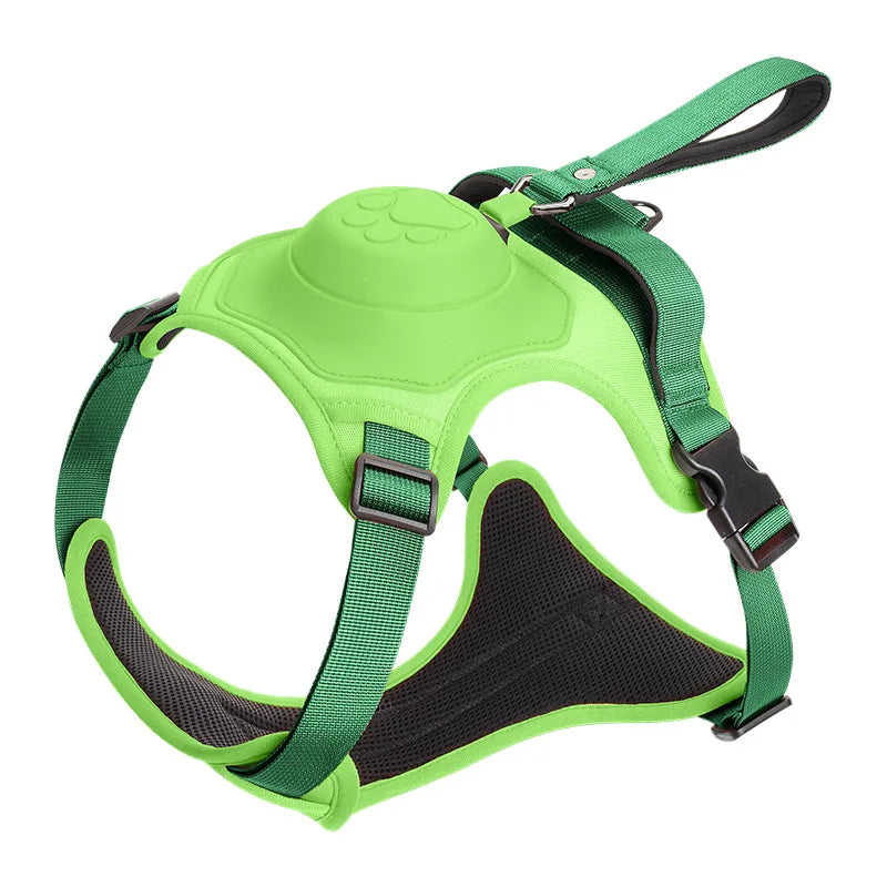 Durable Comfortable Dog Leash with Swivel Lock