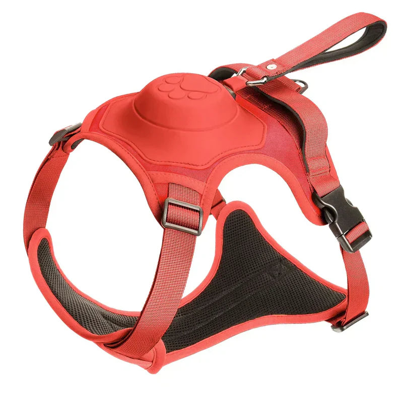 Durable Comfortable Dog Leash with Swivel Lock
