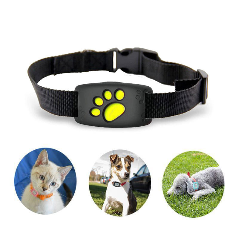 GPS Cat Collar with Real-Time Tracking and Geo-Fence Alarm