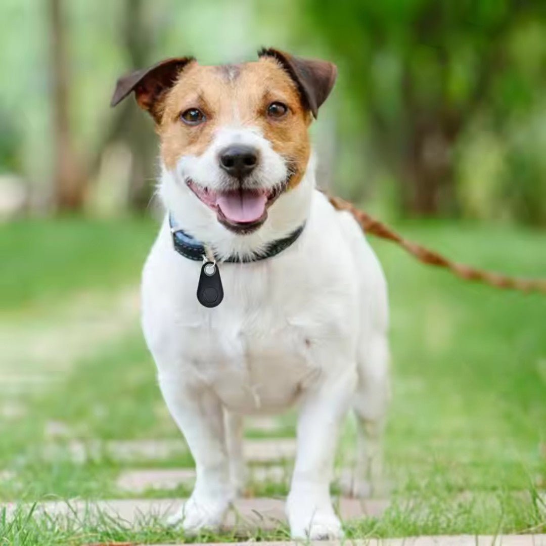 Bluetooth Pet Location Tracker with Real-Time GPS