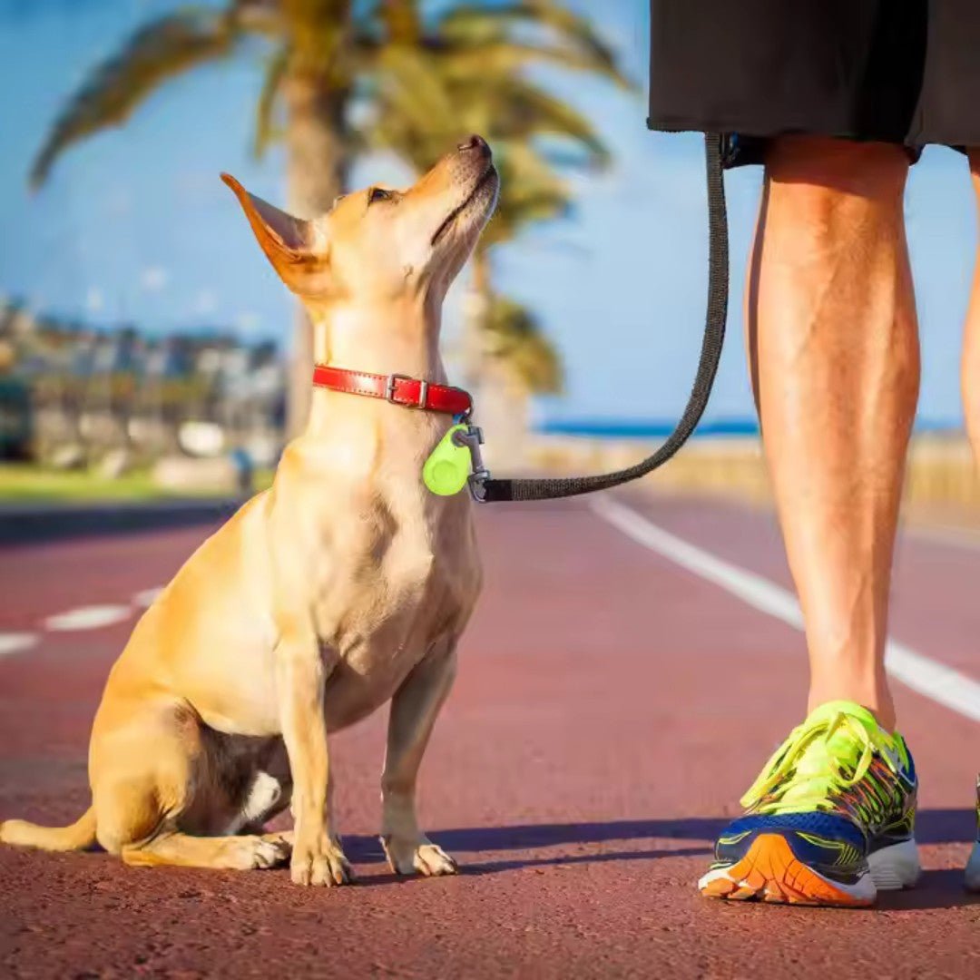 Bluetooth Pet Location Tracker with Real-Time GPS