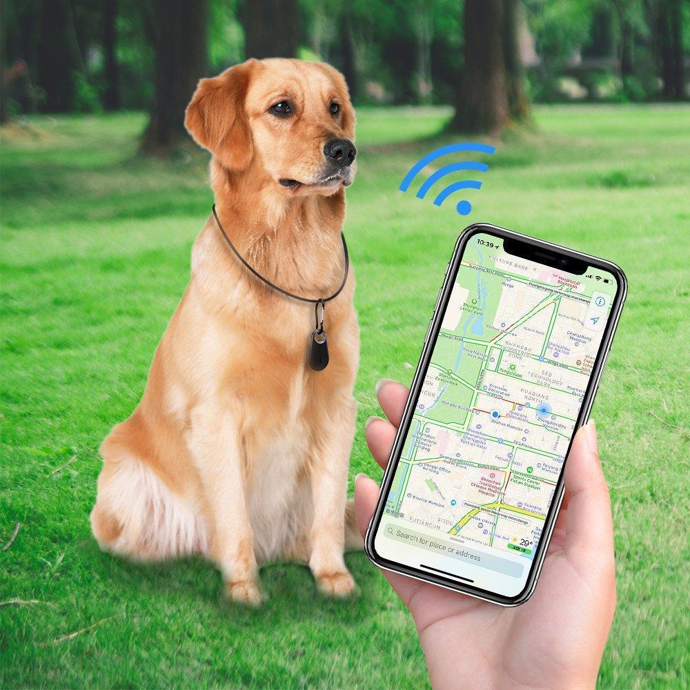 GPS Pet Tracker with Real-Time Location and Activity Monitoring