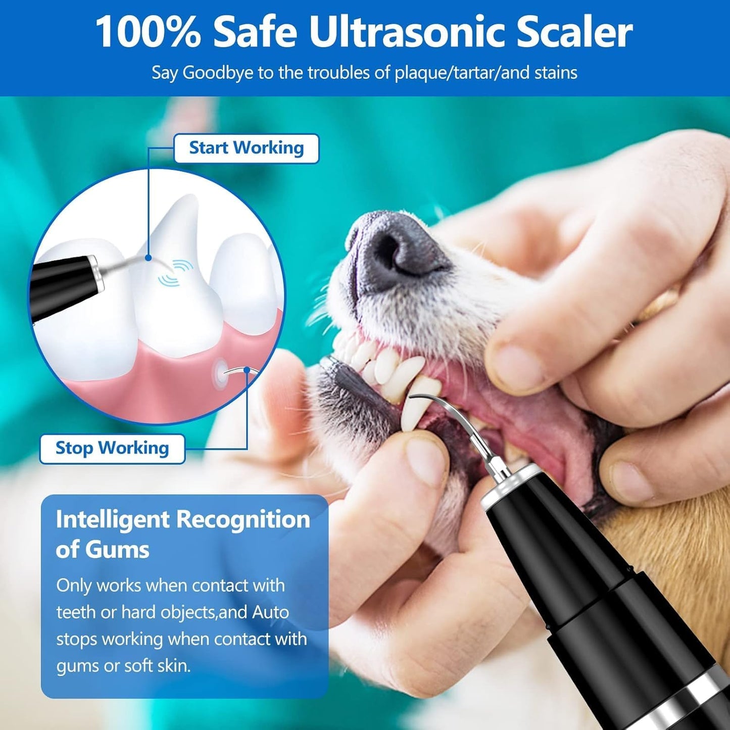 Ultrasonic Pet Tooth Cleaner for Tartar and Plaque Removal