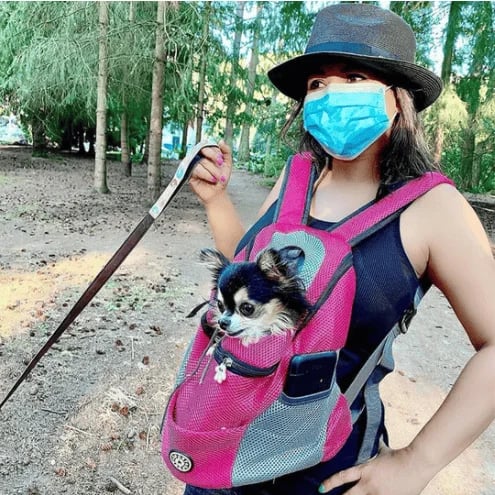 Comfortable Breathable Dog Backpack with Adjustable Straps
