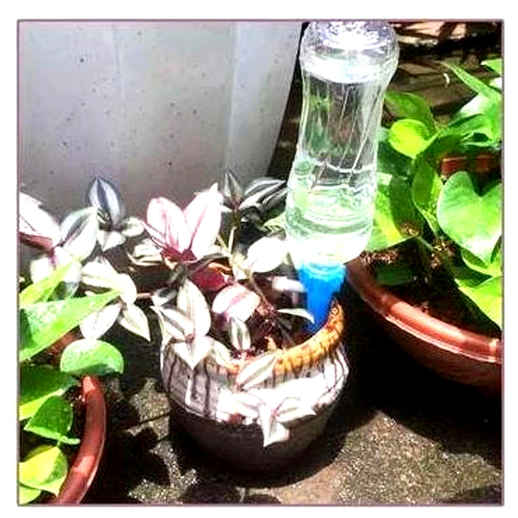 Adjustable Plant Watering Spikes for Bottles, 12-Pack