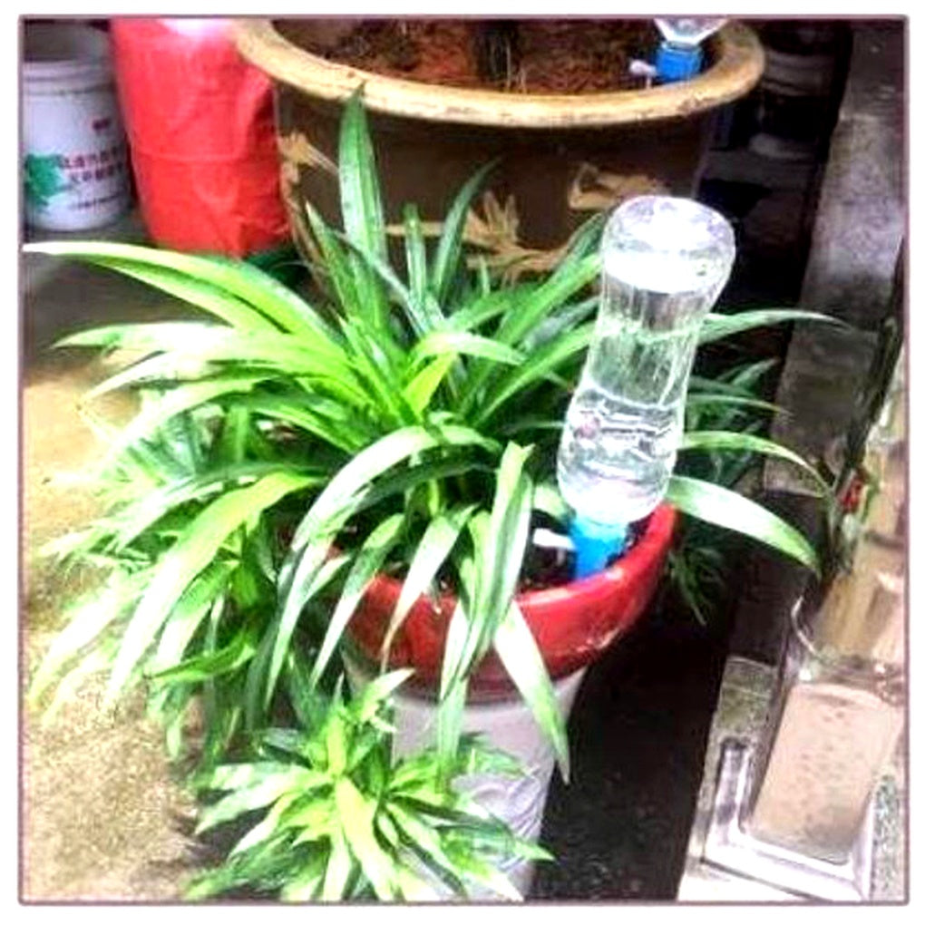 Adjustable Plant Watering Spikes for Bottles, 12-Pack