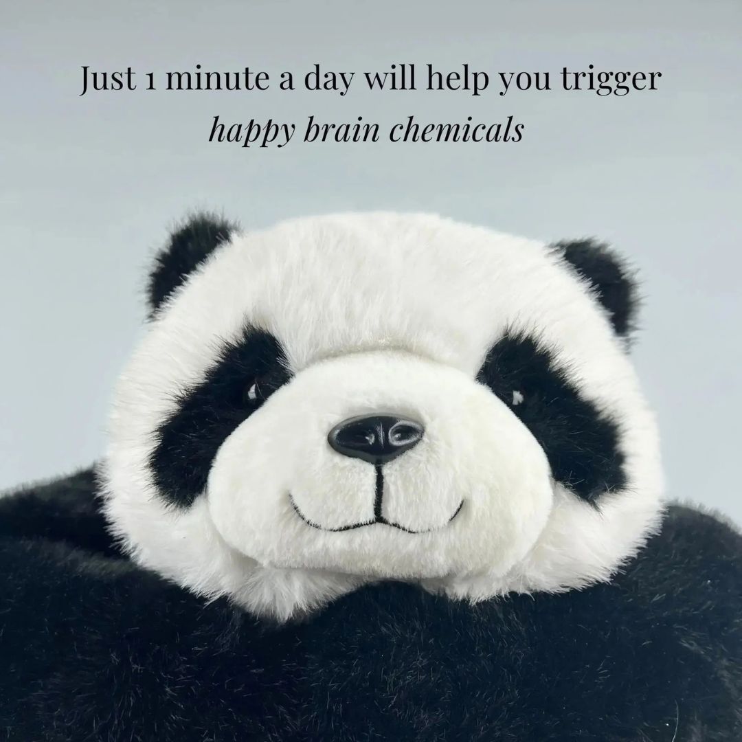 Weighted Plush Panda Toy for Relaxation and Stress Relief