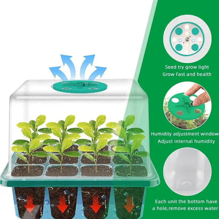 Indoor Mini-Garden with Integrated Lighting for Optimal Plant Growth