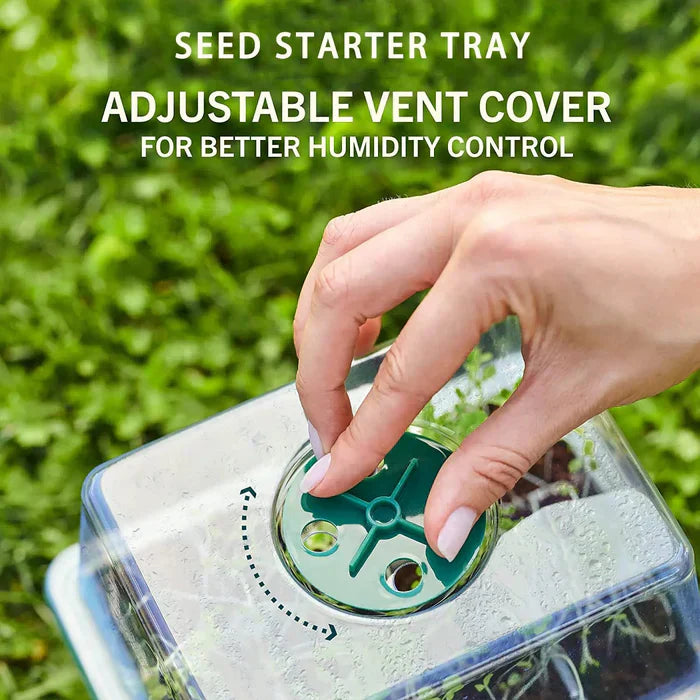 Indoor Mini-Garden with Integrated Lighting for Optimal Plant Growth